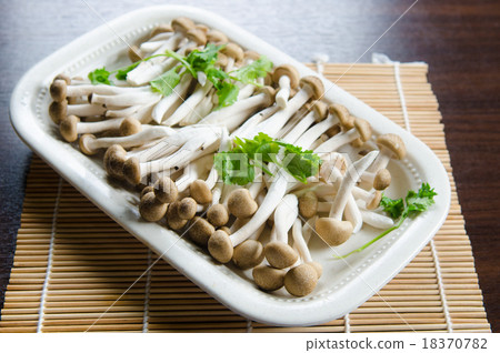 Mushroom Mushroom 18370782