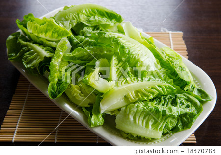 A plate of lettuce slice 18370783