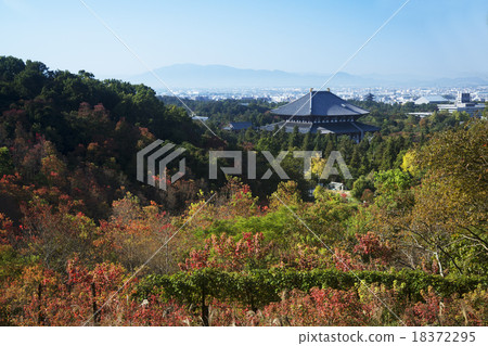 Nara city distant view blue sky 18372295