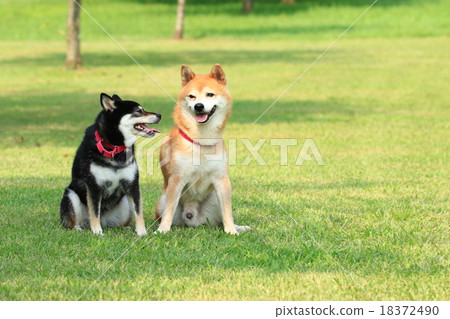 It's hot ♪ 18372490