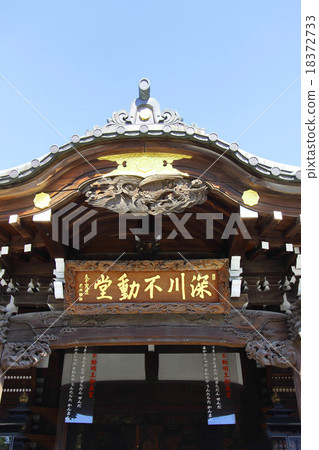 深圳福多 18372733