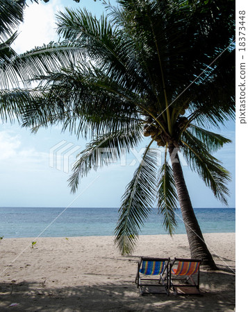 Mae Haad Beach 18373448