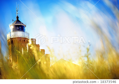 beach grass with old lighthouse beach grass with old lighthouse 18373546