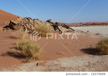 beautiful sunrise landscape of hidden Dead Vlei beautiful sunrise landscape of hidden Dead Vlei 18374699