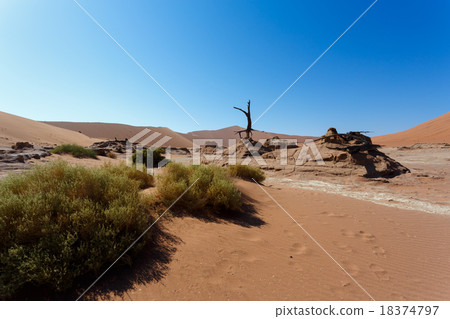 beautiful sunrise landscape of hidden Dead Vlei 18374797