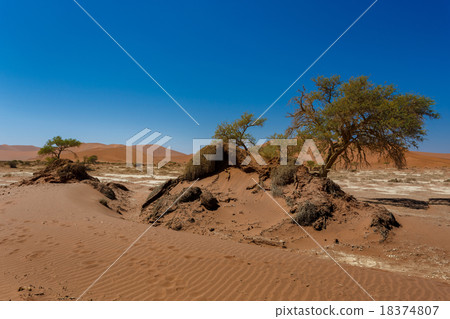beautiful sunrise landscape of hidden Dead Vlei beautiful sunrise landscape of hidden Dead Vlei 18374807