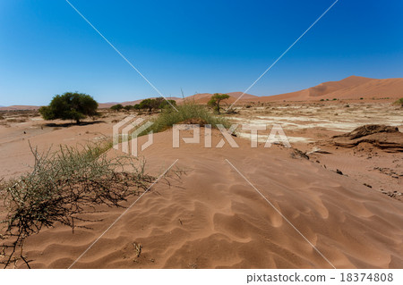 beautiful sunrise landscape of hidden Dead Vlei 18374808