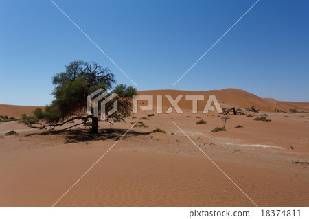 beautiful sunrise landscape of hidden Dead Vlei 18374811