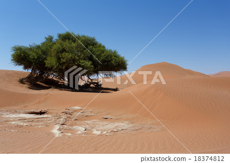 beautiful sunrise landscape of hidden Dead Vlei 18374812