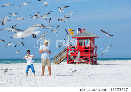 Father and his son feeding seagulls on tropical 18375727