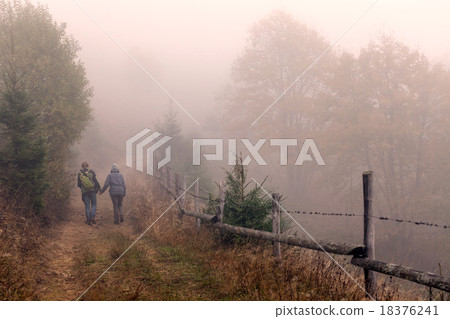 Colorful autumn trees Colorful autumn trees 18376241