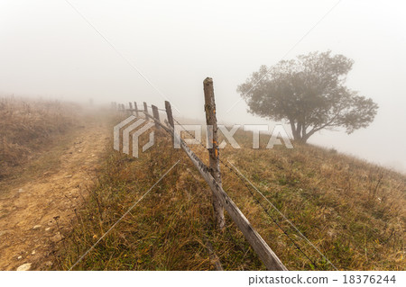 Colorful autumn trees Colorful autumn trees 18376244