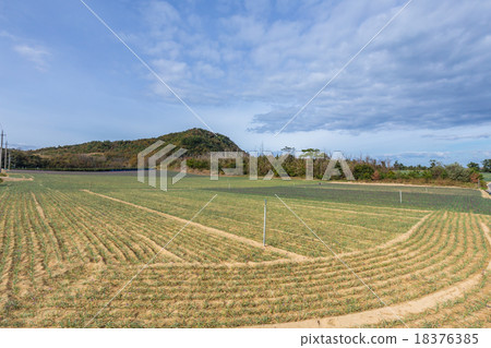 Rakucho field 18376385