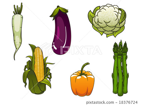 Fresh healthy isolated farm vegetables Fresh healthy isolated farm vegetables 18376724