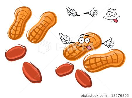 Cartoon brown peanut with shell and nuts Cartoon brown peanut with shell and nuts 18376803