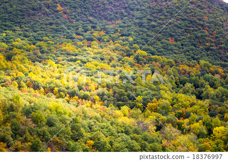 Autum colors 18376997