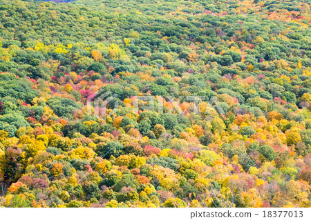 Autumn colors 18377013