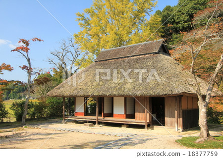 Ito Kimono Park Koho Itoh 18377759