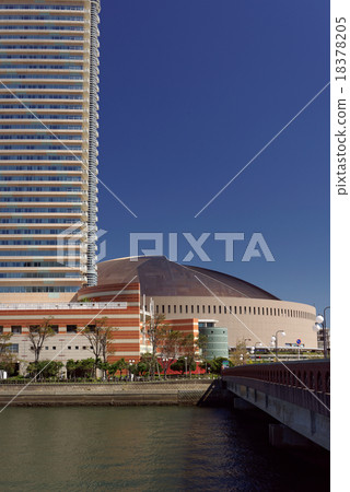 海鷹和雅虎拍賣圓頂 海鷹和雅虎拍賣圓頂 18378205