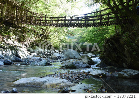 Kazura Bridge in Iya 18378221