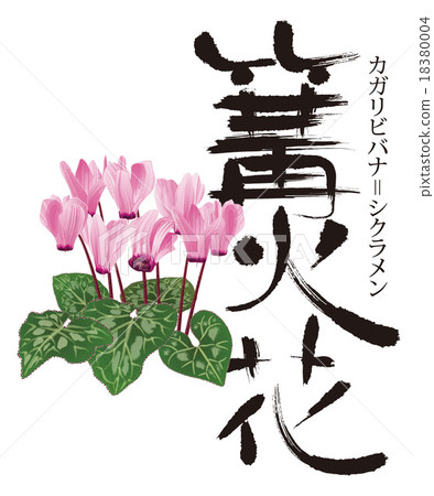 Flowers Flowers 18380004