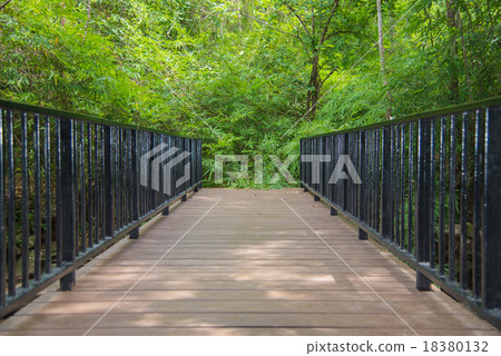 Wooden walkway bridge in mangrove fores 18380132