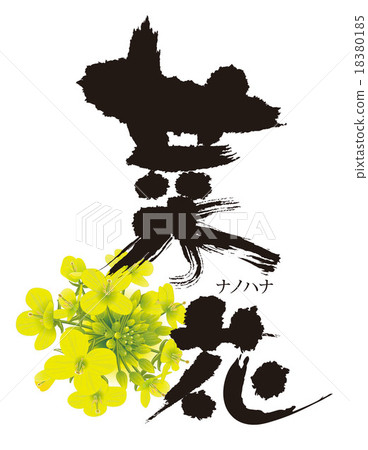 花 花 18380185