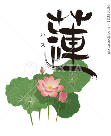 花 18380186