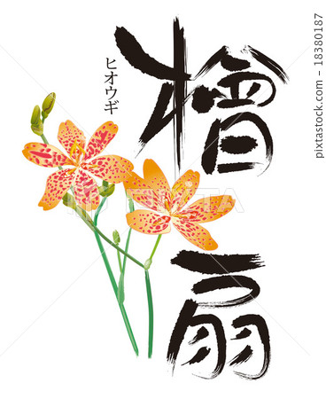 花 花 18380187