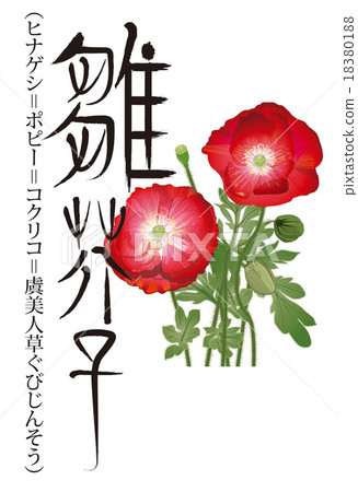 花 花 18380188