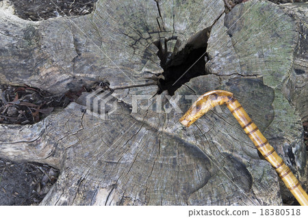 退休形象 18380518