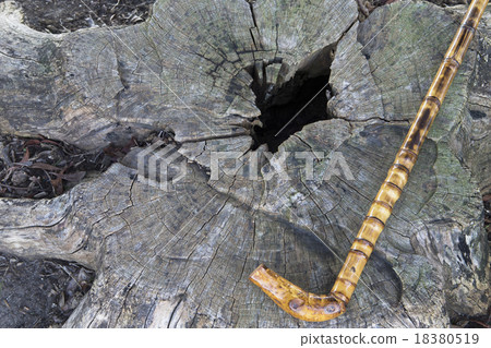 Retirement image 18380519