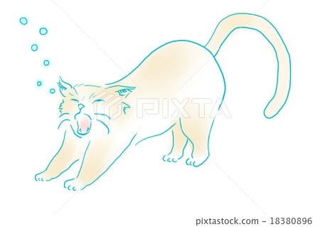 Yawning cat Yawning cat 18380896