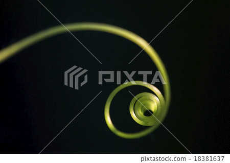 Spiral of the soft top of the pod. Spiral of the soft top of the pod. 18381637