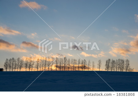 日落雲彩和冬天樹叢 日落雲彩和冬天樹叢 18381808