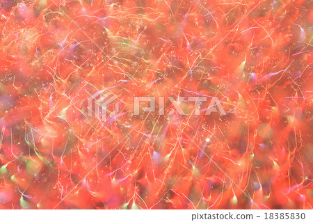 煙花藝術 18385830