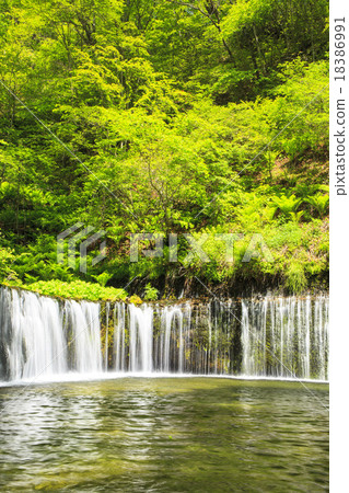 Shiraito Falls in Early Summer Karuizawa Town, Nagano Prefecture 18386991