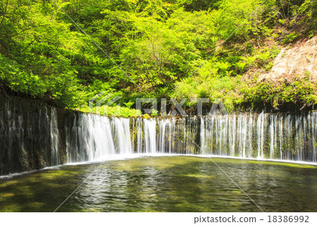 Shiraito Falls in Early Summer Karuizawa Town, Nagano Prefecture 18386992
