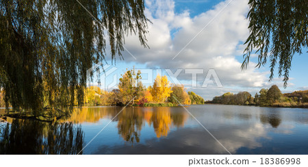 Autumn woodland scene in the Ukrainian Lake Autumn woodland scene in the Ukrainian Lake 18386998