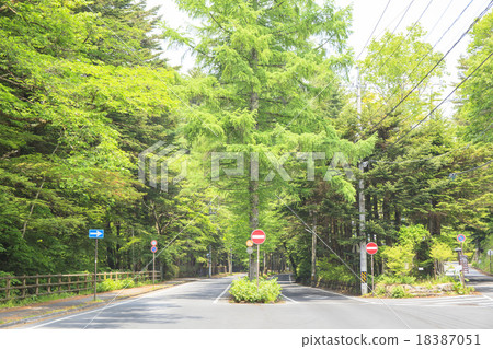 Mikasa-dori of Karuizawa-machi, Nagano Prefecture 18387051