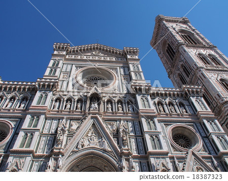  Florence 18387323