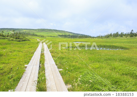 Hachimantai in summer Hachimantai city, Iwate prefecture Hachimantai in summer Hachimantai city, Iwate prefecture 18388153
