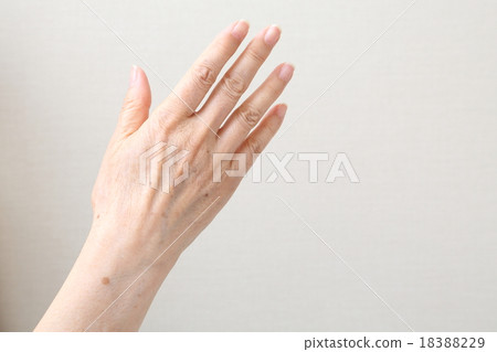 Senior / middle women's hands 18388229