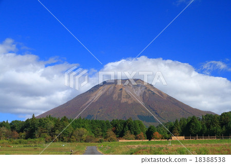 Oyama 201510257 d 12 18388538