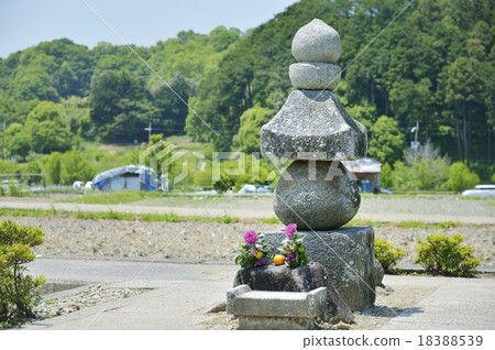 Suoga Invala Suzuka 18388539