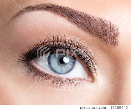 Beauty female eye with curl long false eyelashes Beauty female eye with curl long false eyelashes 18389443