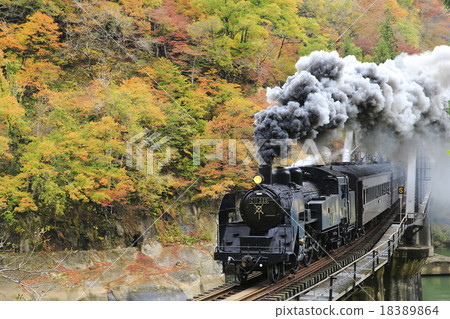 Autumnal Today Line SL 18389864