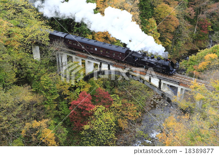 Autumnal Today Line SL 18389877