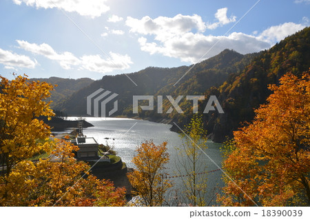 Dam lake and autumn leaves Dam lake and autumn leaves 18390039