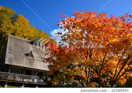 秋葉和小屋 秋葉和小屋 18390041